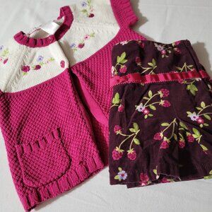 Gymboree Berry Patch size 4 adjustable waist skort & 4T sweater VGUC-located A18